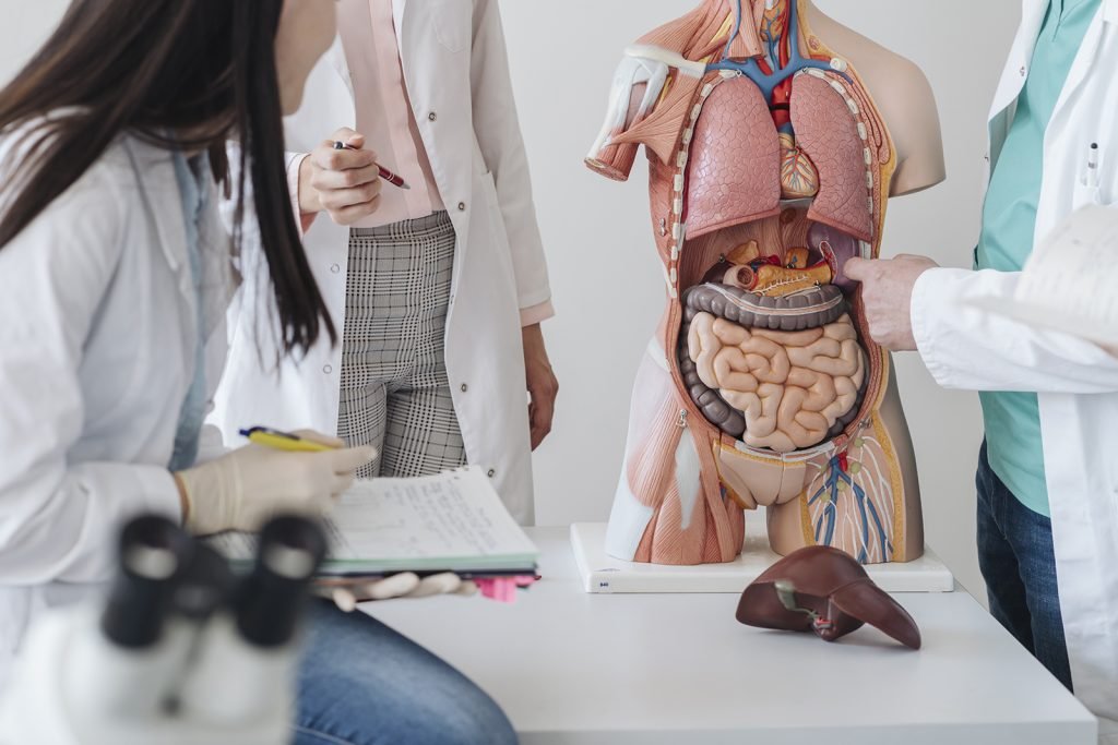 The Ultimate Guide to Healing Your Gut and Balancing Your Hormones!