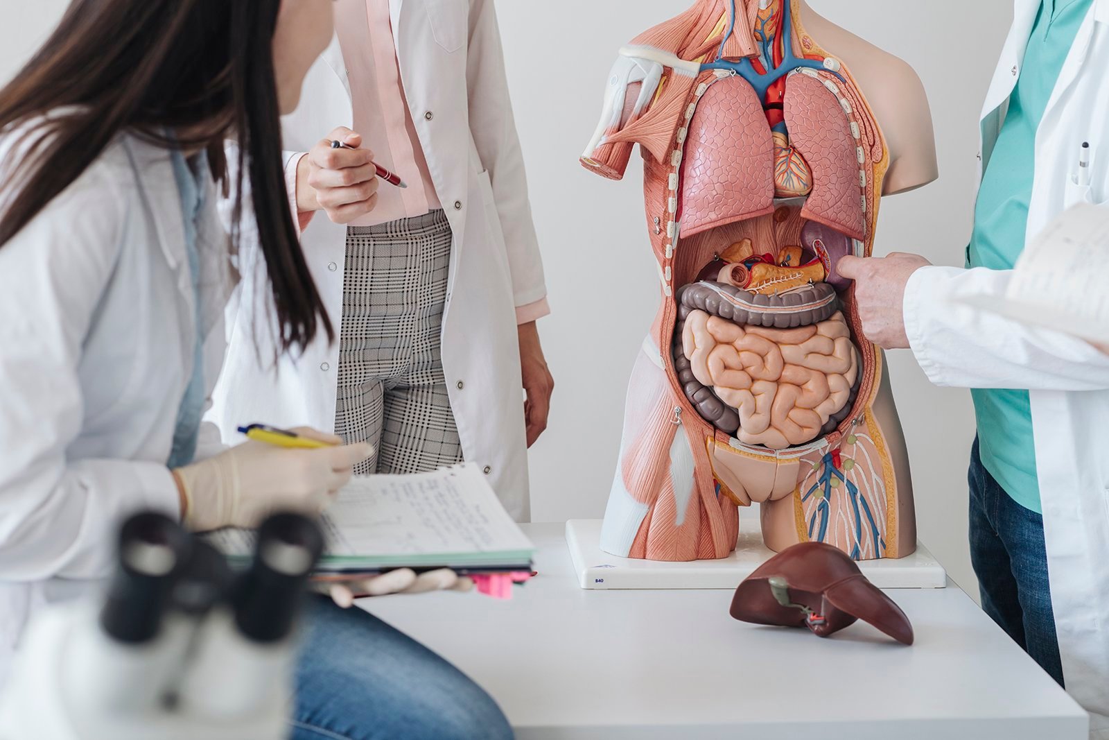 The Ultimate Guide to Healing Your Gut and Balancing Your Hormones!