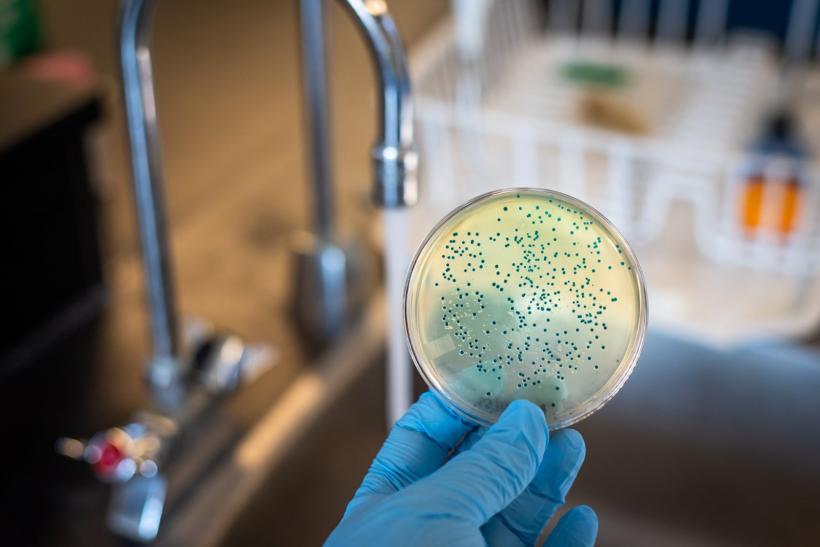 Toxic Truth: How Mold, Metals & Water Are Wrecking Your Hormones – with Dr. Jaban Moore