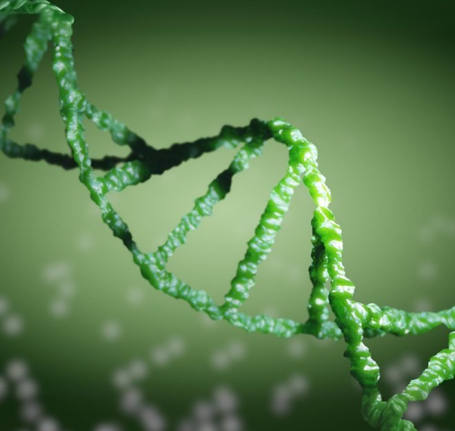 bioidentical-img-sm