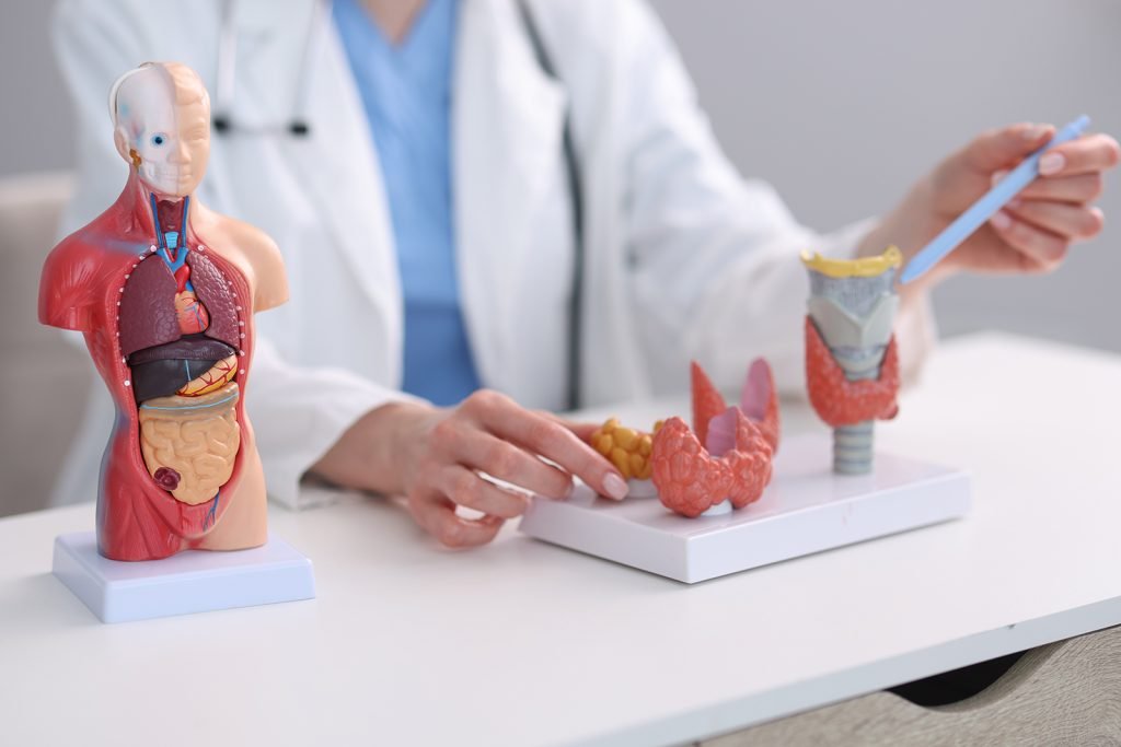 Can't Lose Weight? How Your Thyroid Could Be the Reason — Oklahoma City