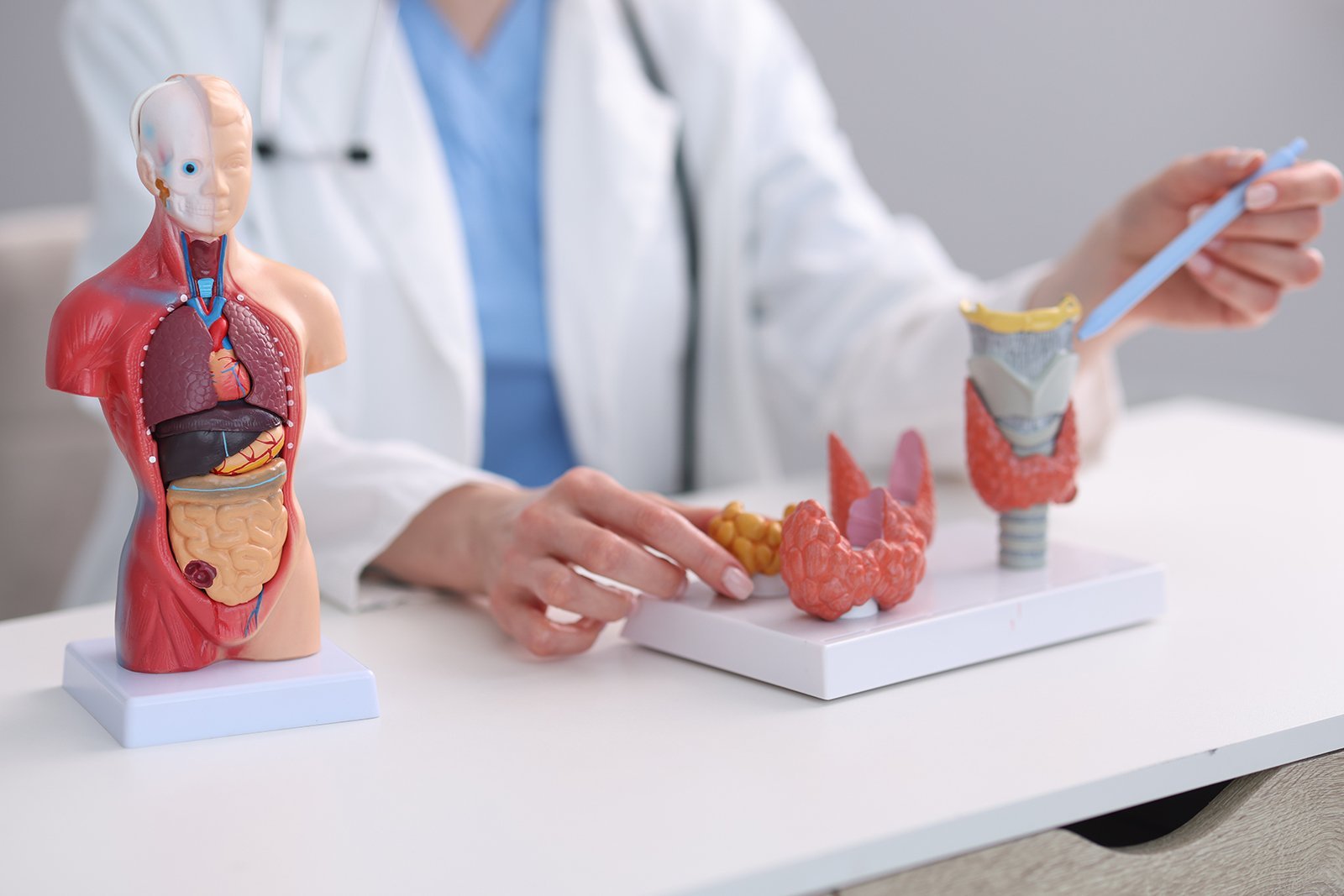 Can't Lose Weight? How Your Thyroid Could Be the Reason — Oklahoma City